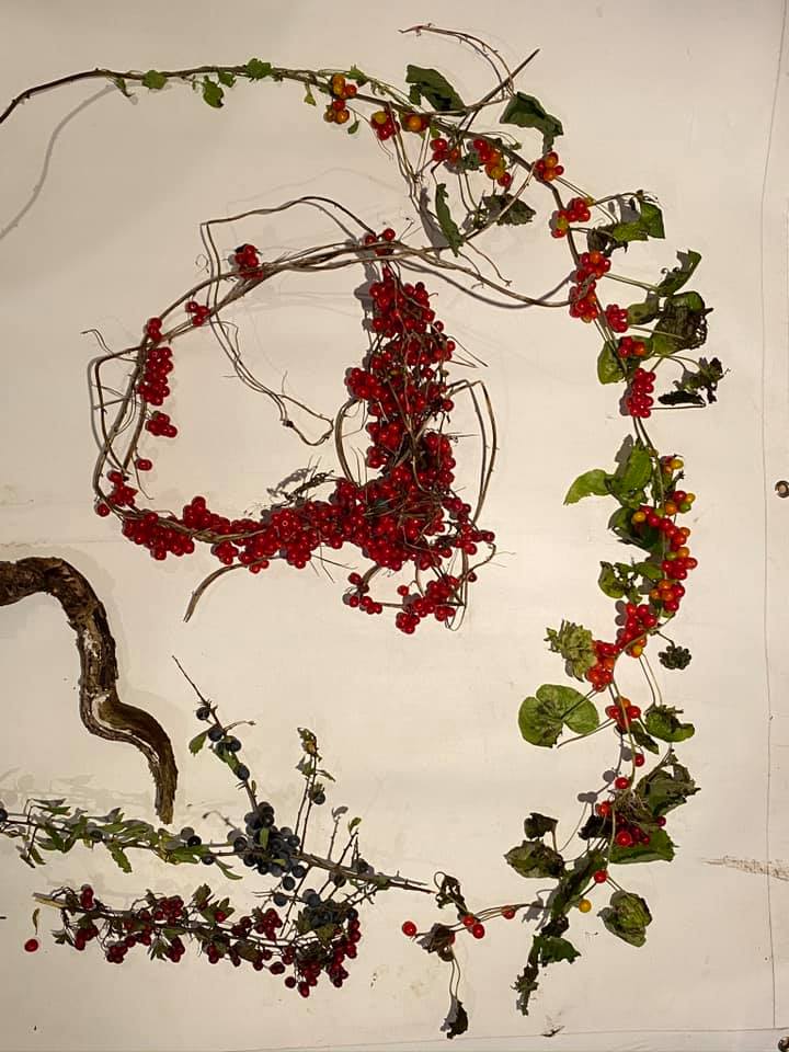 Haptic feedback device component of the smart home system