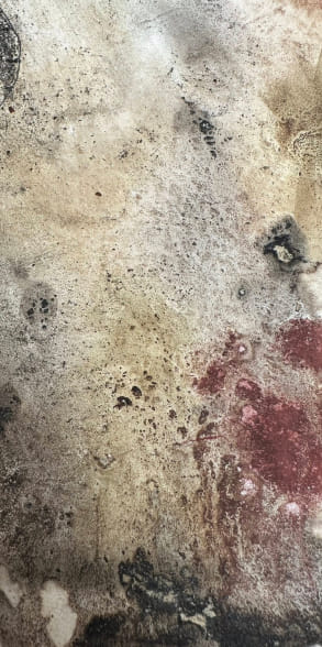 Dashboard showing analytics of voice command usage patterns