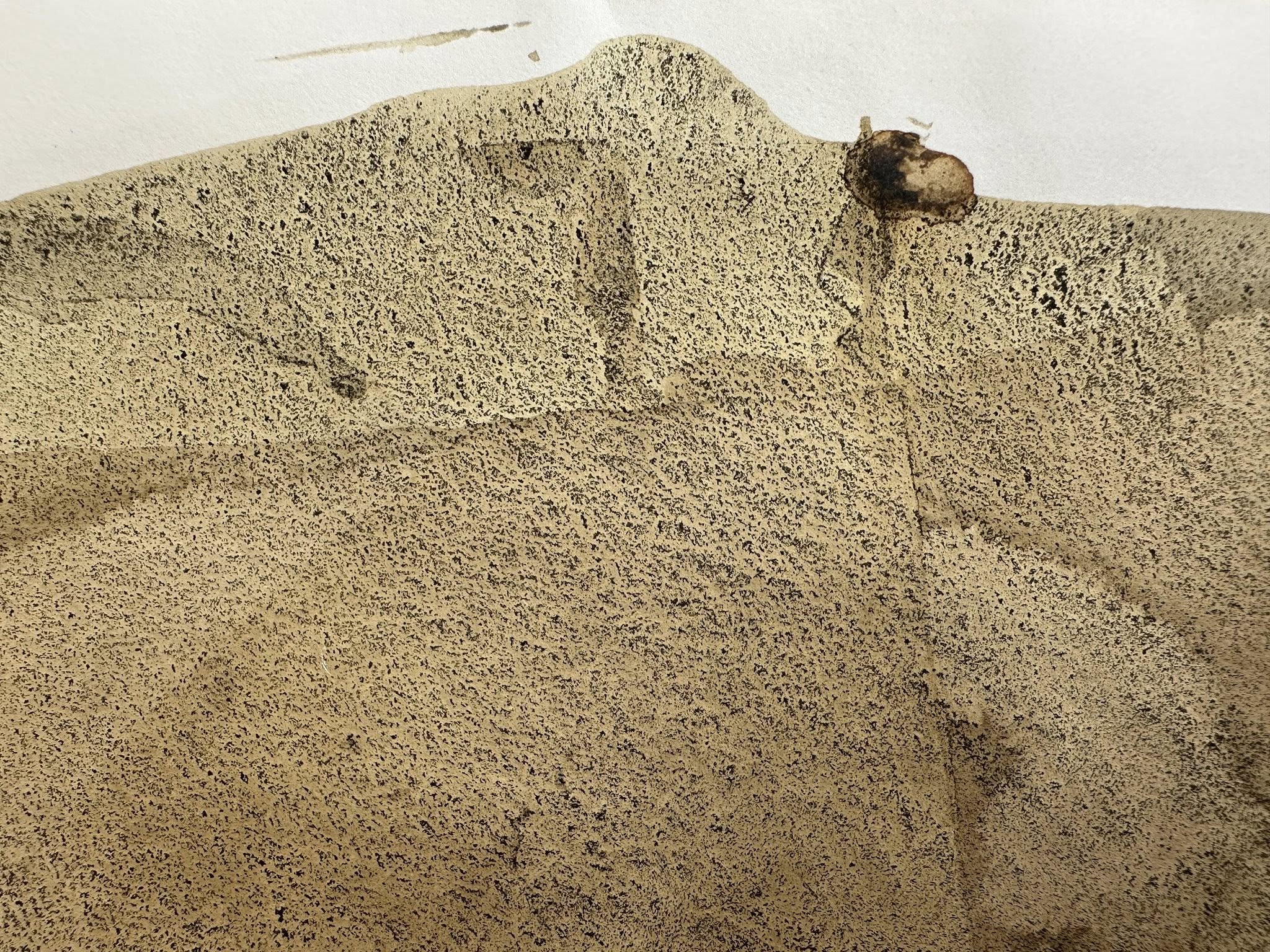 A picture of paints and inks made from natural pigments from plants and rocks